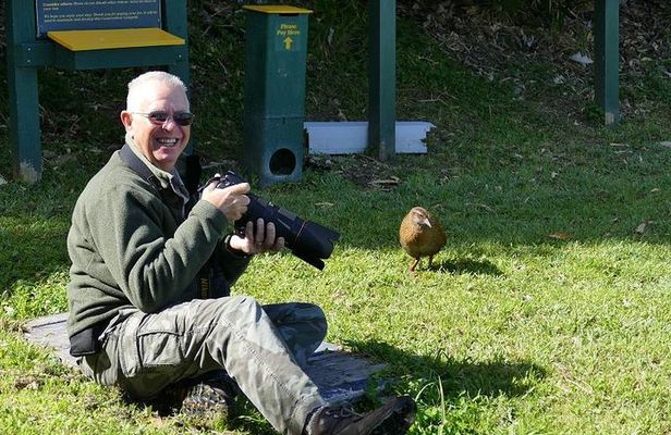 Bird Watching and Dolphin Eco-Tour from Picton