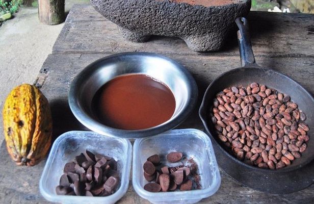 Chocolate Tour in Bribri Indigenous Area & Cahuita National Park