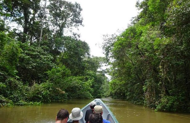 Cuyabeno 4 Day Jungle Tour