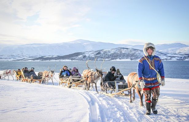 Reindeer Sledding Experience and Sami Culture Tour from Tromso