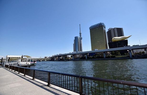 Starter tour in Tokyo _Visiting must-see spots and practical guidance