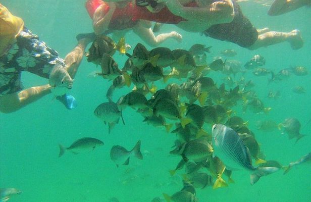 Private Snorkel Cruise in Cabo San Lucas