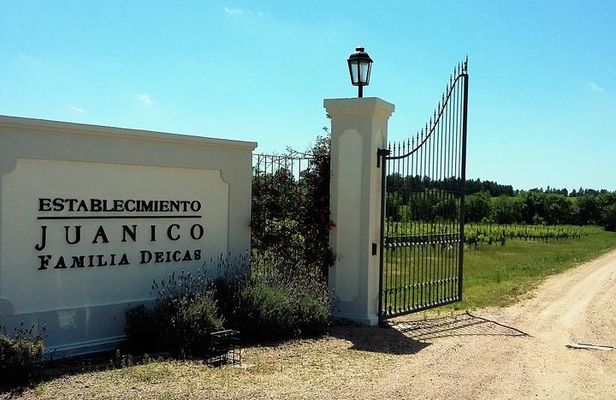 Juanico Wine Tour Lunch