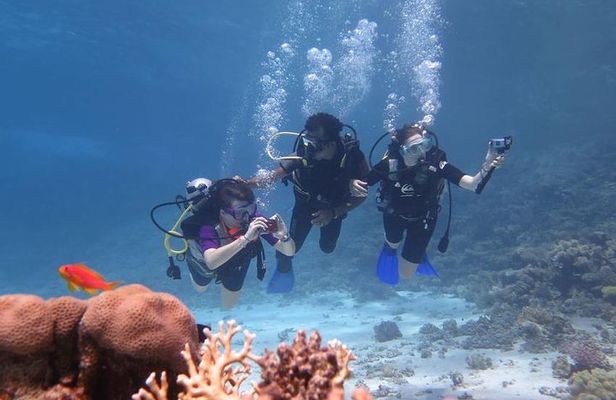 Intro Diving In Sharm El Sheikh