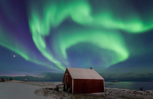 Northern Lights Hunt Including Snacks on Campfire from Rovaniemi