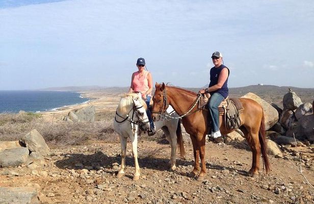 Sunset Horseback Ride in Aruba