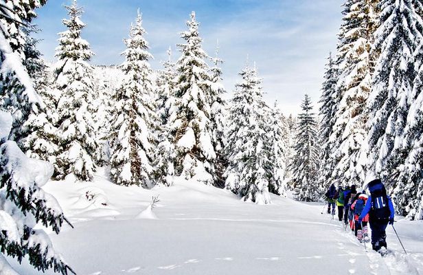 Snowshoe Through Vancouver's Winter Wonderland