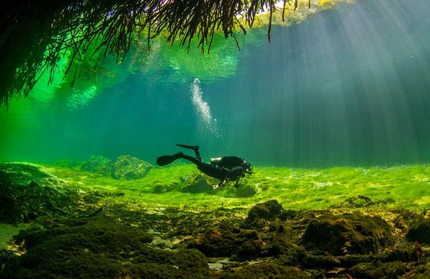 Amazing beginner dive in Tulum cenote (or refresher dive)