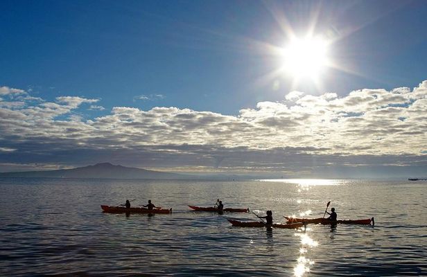 Sunset kayak tour to Rangitoto Island