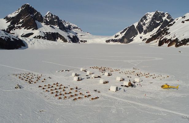 Juneau Helicopter and Dogsledding with Added Glacier Landing