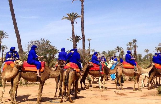 Camel Ride and Quad Bike in Palmeraie