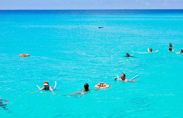 Tropical Catamaran Snorkeling, Sailing And Beach Experience