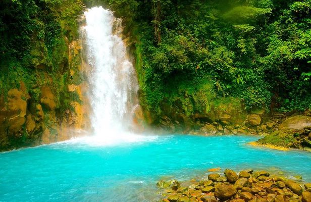 Rio Celeste Hiking, Sloth Sanctuary & Llanos de Cortes Waterfall Tour