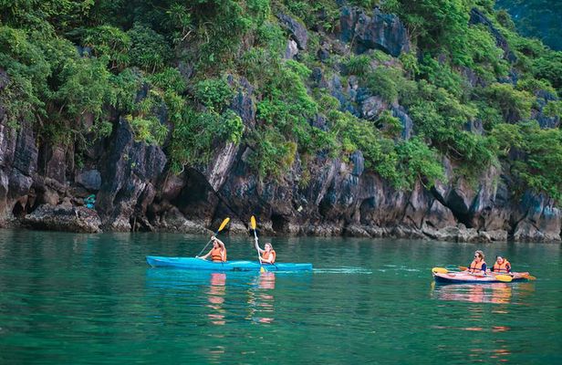 New Cruise Ha Long - CATAMARAN PREMIUM