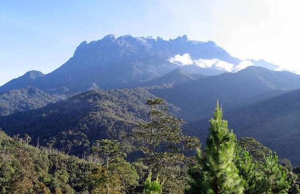 Kinabalu Park & Poring Hot Spring Tour