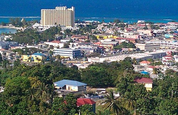 Tour to Fern Gully and Konoko Falls and Park