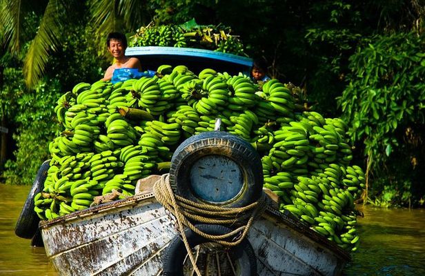 Cu chi Tunnel & Mekong Delta Full Day BBQ Lunch Lux Group 10 pax