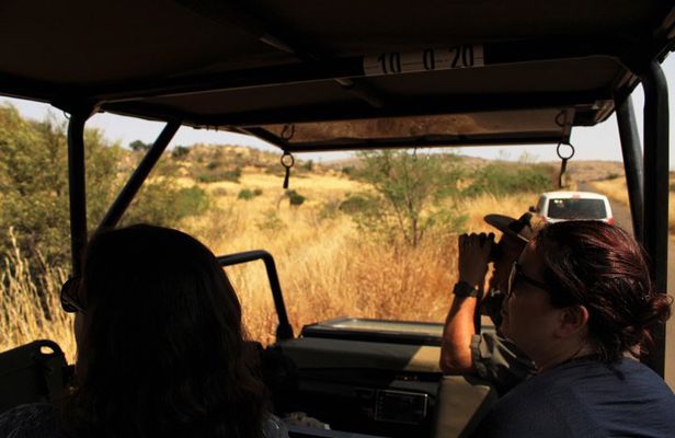 Full Day Pilanesberg Experience in Open Vehicle
