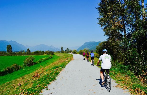 Vancouver Biking and Hiking Tour including Lunch