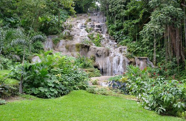 Konoko Falls and Tropical Garden Tour from Runaway Bay
