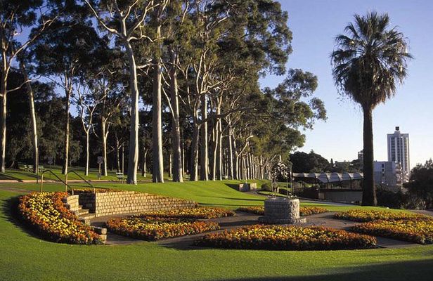 Full-Day Perth Mint Gold Swan River Cruise and Caversham Wildlife