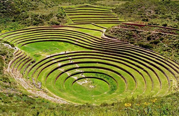 Morning: Maras and Moray half day tour with entrances