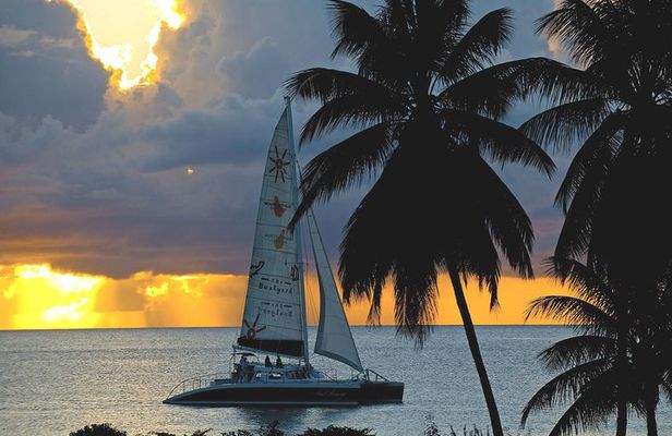 Sunset Catamaran and Snorkeling Cruise At Carlisle Bay