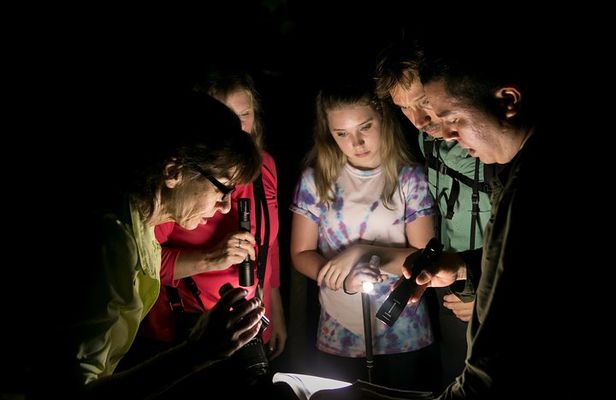 All-Inclusive Jungle Night Tour