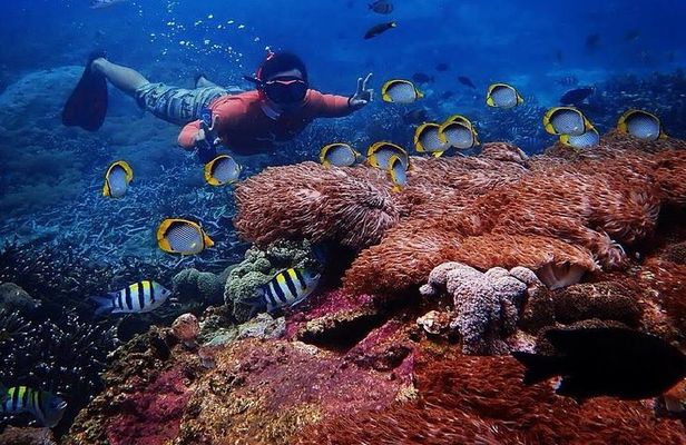 Snorkeling Day Trip To Lembongan and Penida