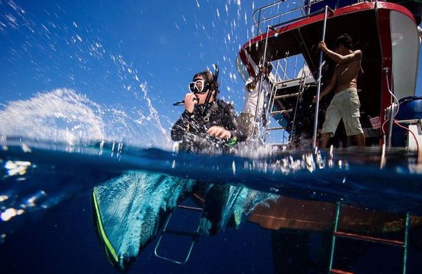 PADI Discover Scuba Diving Experience Full Day Trip