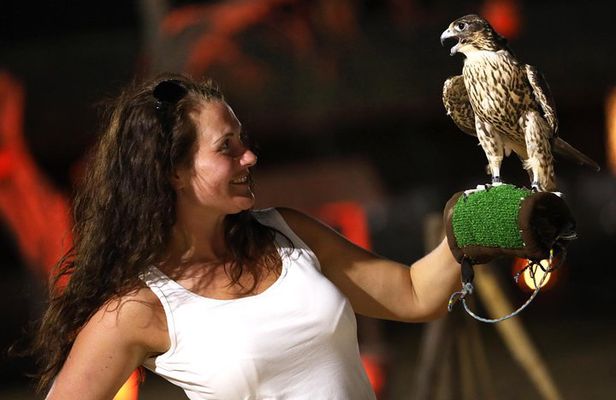 Abu Dhabi: Desert Safari with Dune Bashing, SandBoarding & BBQ