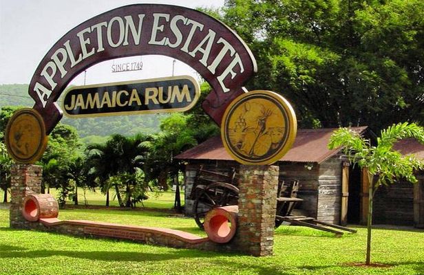 Private Appleton Estate Rum Tour & Tasting from Montego Bay