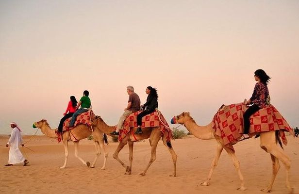 Evening Desert Safari with BBQ Dinner