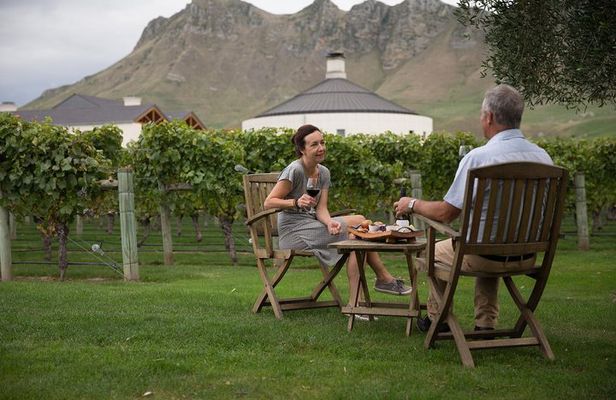 Half Day Small-Group Hawkes Bay Wine Tour