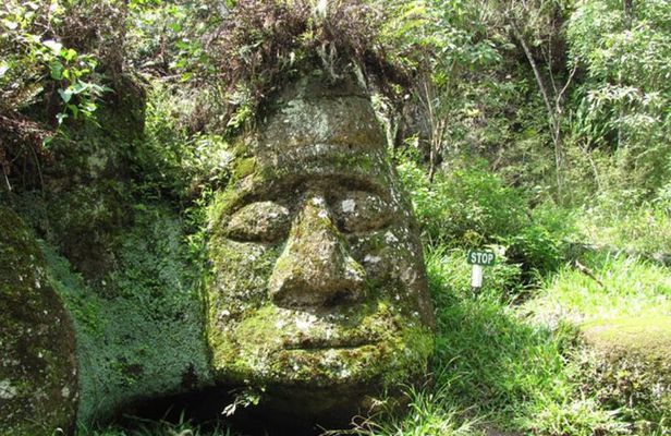 Full Day Floreana Tour