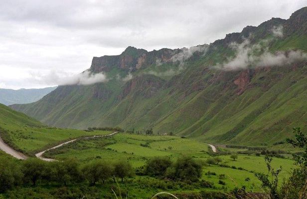 Full-day Cachi and Los Cardones National Park from Salta