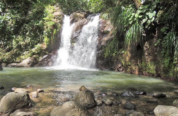 North Island Tour And Martinique Best Secret