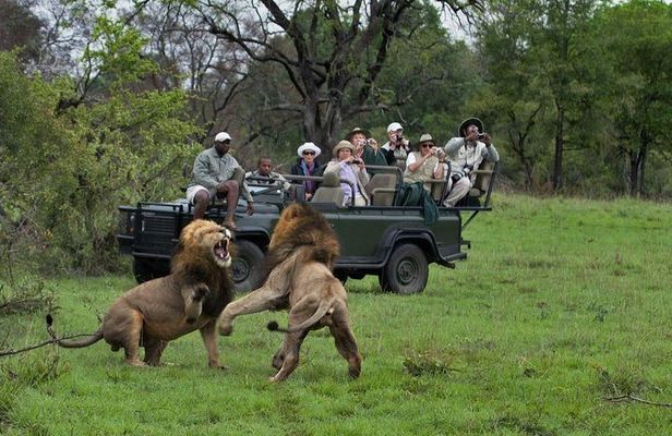 Cape Town South Africa, 2 Days Overnight Safari Tour Game Reserve