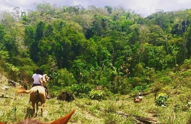 Horseback Ride to the Forgotten Jungle City