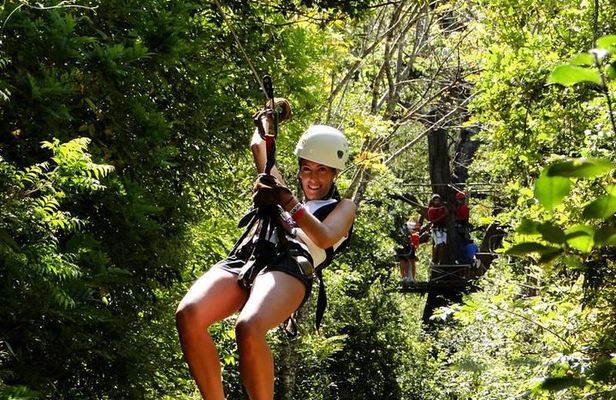 Canopy Tour In Tamarindo Beach