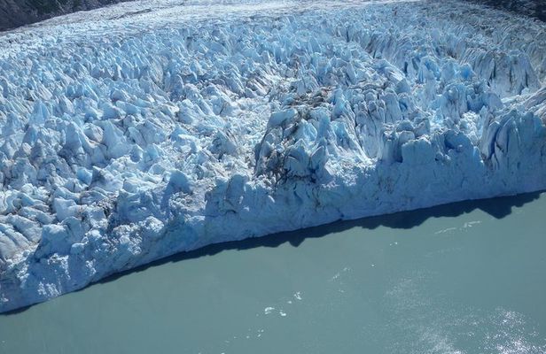 Glacier & Wildlife Discovery Tour