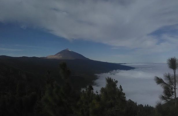 Volcano Teide National Park And North Of The Island VIP TOUR