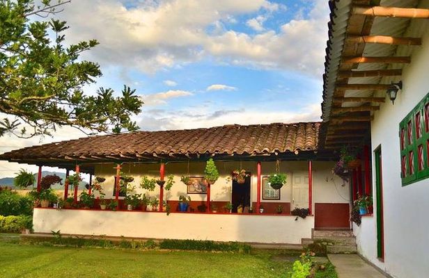 Coffee and Culture in Santa Rosa de Cabal