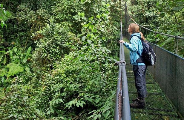 Hanging Bridges and Nature Preserve at Tenorio volcano