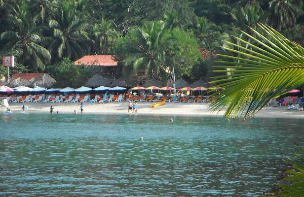 Snorkel Tour in Las Gatas Water Break