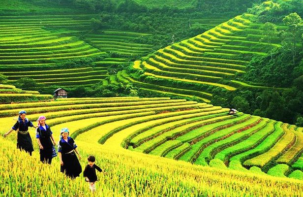 Sapa Tours 2D1N stay At 4 stars hotel nice Sleeping Bus TRANSFER 
