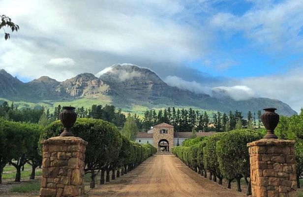 Wine, Beer & Biltong Safari - Private Tour