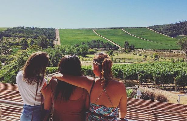 Wine Beer and Biltong Safari - Stellenbosch
