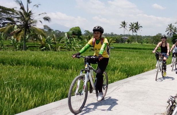 Bali Mountains and Villages Cycling Tour