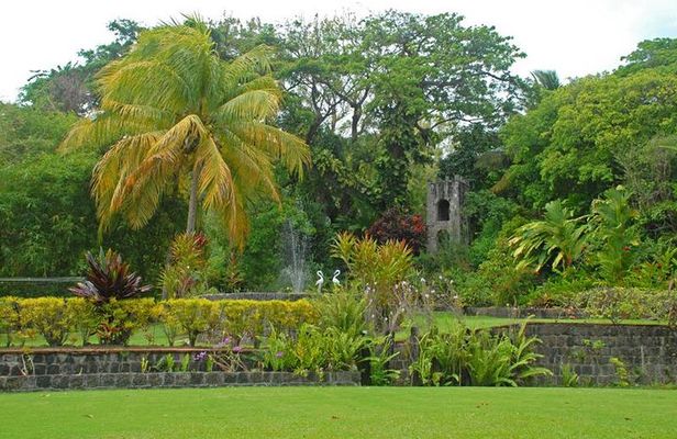 Full Island Private Tour